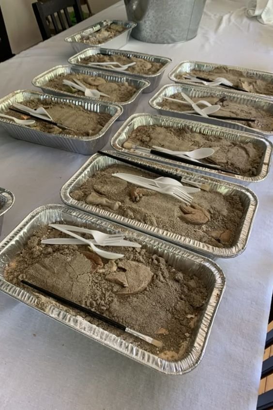 Dinosaur Excavation Site