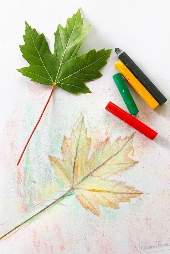 Leaf Rubbing Art