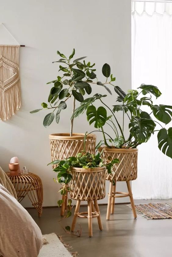 Rattan Plant Stands