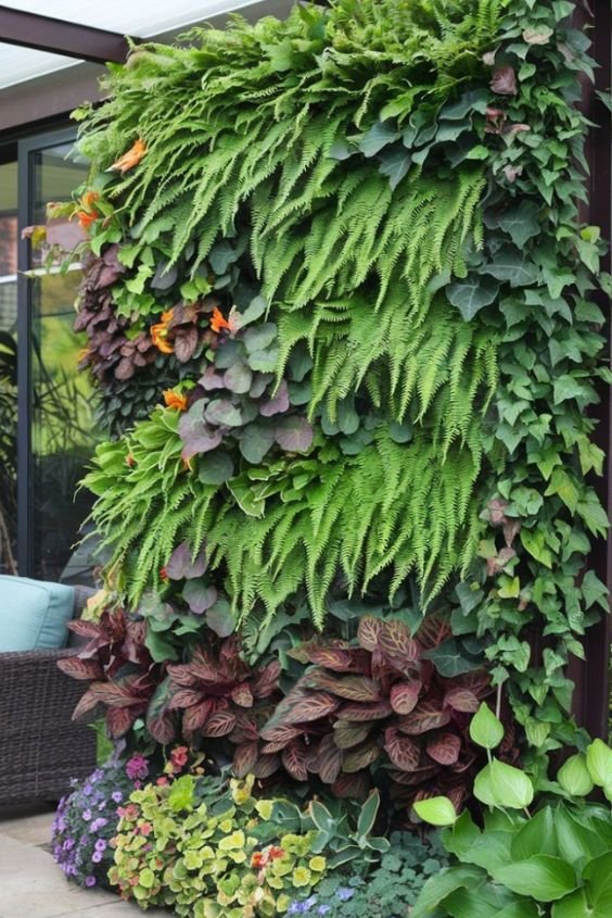 Vertical Garden Wall