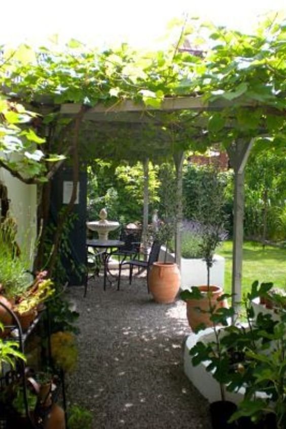 Install a Pergola for Shade