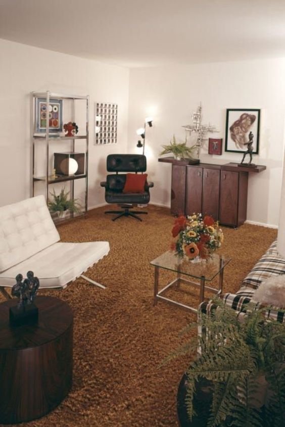 Shag Carpets for a Cozy, Retro Look