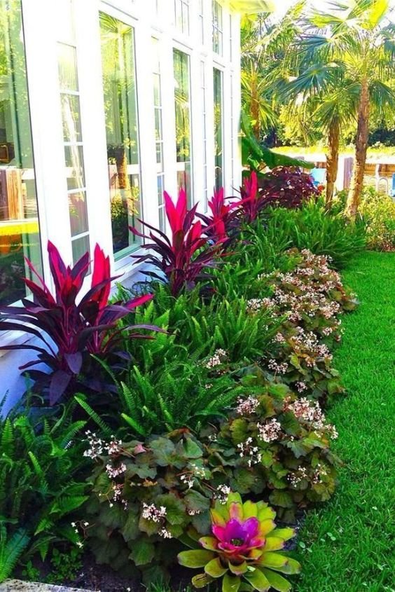 Bring the Tropics to Your Front Yard