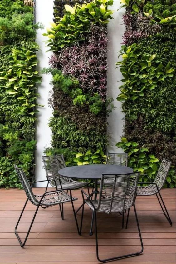 Green Wall or Vertical Garden