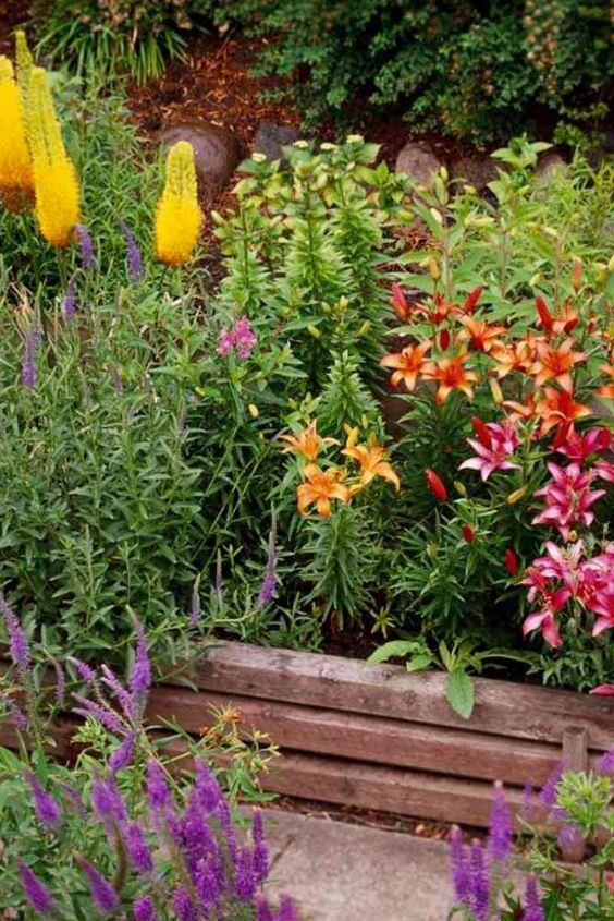 Highlight the Harmony of Pink and Green