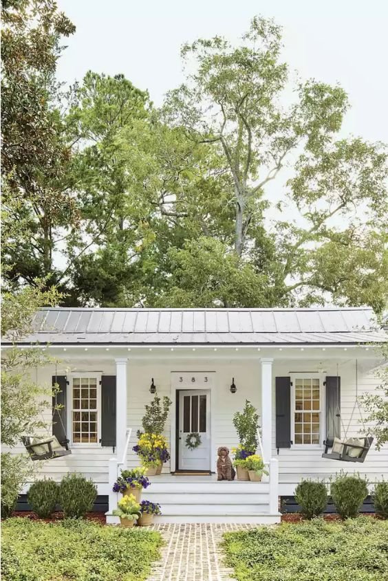 Low-Maintenance Ground Covers