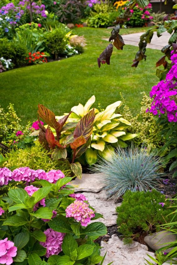 Make a Statement with a Colorful Flowering Tree