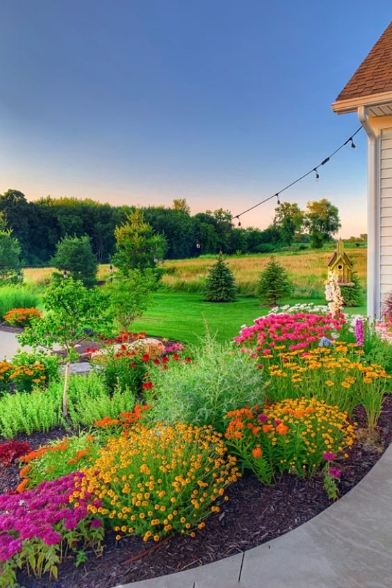 Monochromatic Garden