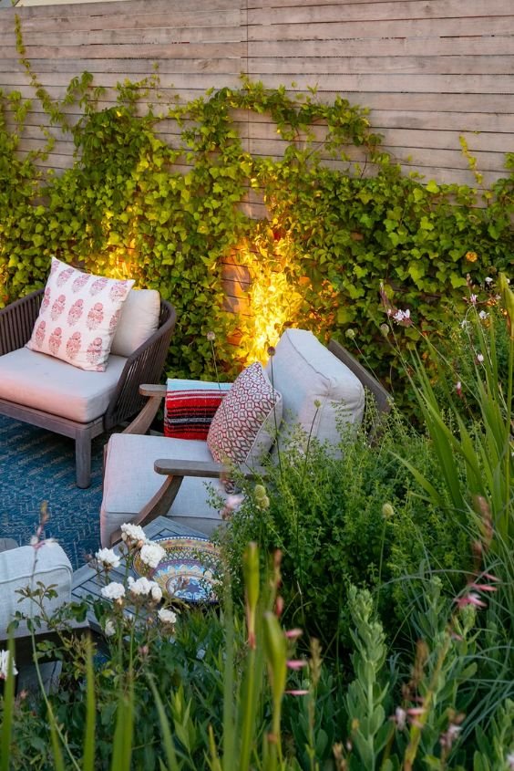 Opt for Climbers to Create a Vertical Garden