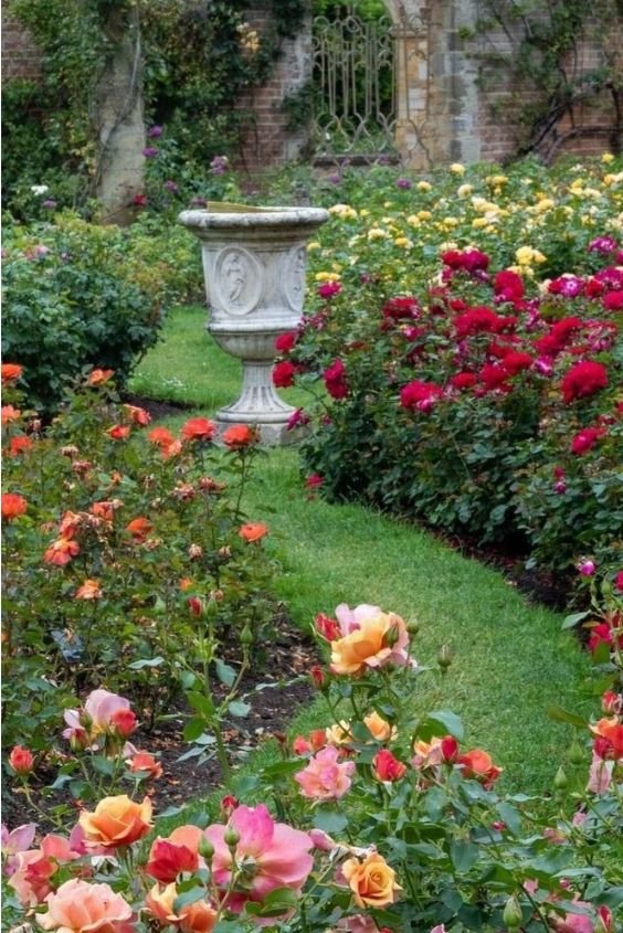 Showcase a Timeless Rose Garden