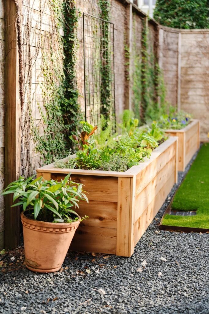 Try a Vertical Garden